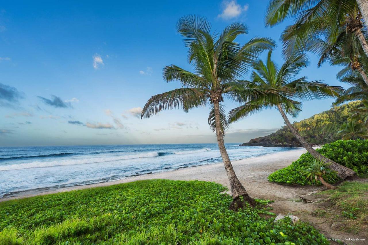 T2 Cosy A 100M De La Plage, Saint-Pierre, Luma Appart 外观 照片